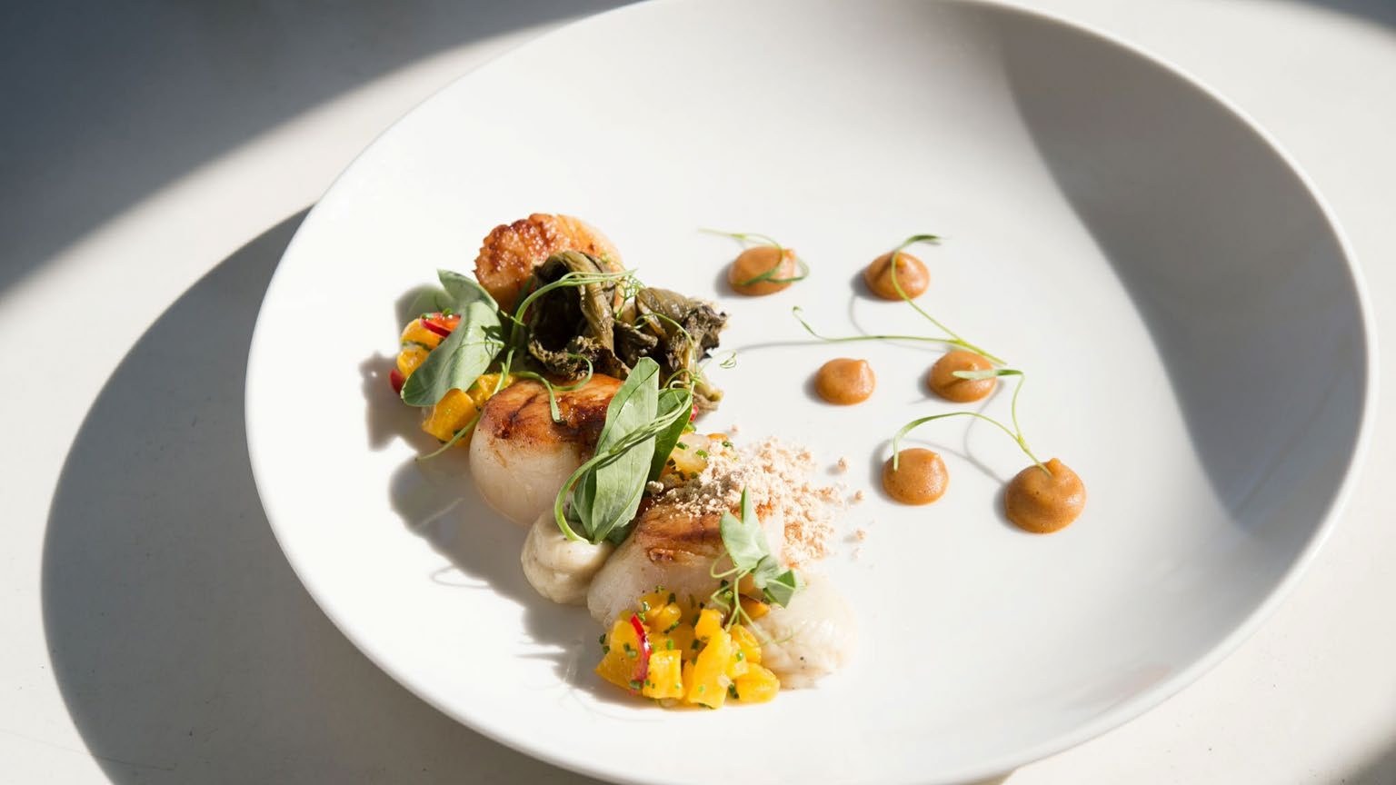 Seared scallops plated with herbs and sauce